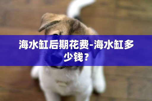 海水缸后期花費-海水缸多少錢？