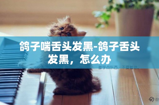 鴿子喘舌頭發黑-鴿子舌頭發黑，怎么辦