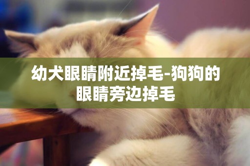 幼犬眼睛附近掉毛-狗狗的眼睛旁邊掉毛