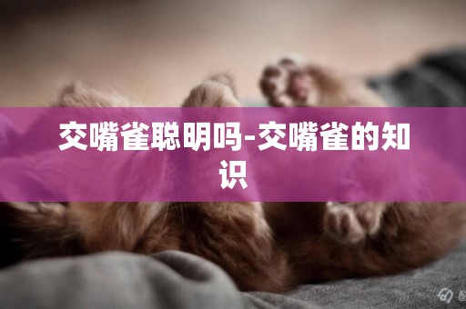 交嘴雀聰明嗎-交嘴雀的知識
