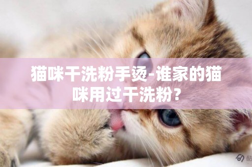 貓咪干洗粉手燙-誰家的貓咪用過干洗粉？