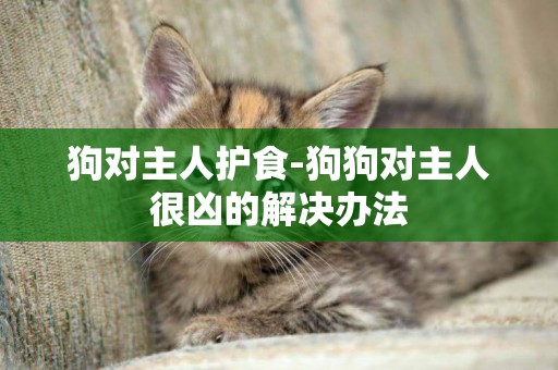 狗對主人護食-狗狗對主人很兇的解決辦法