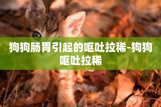 狗狗腸胃引起的嘔吐拉稀-狗狗嘔吐拉稀