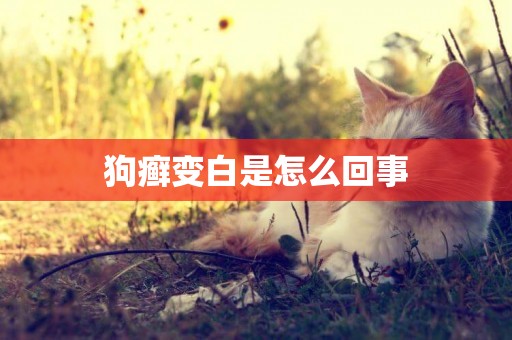 狗癬變白是怎么回事