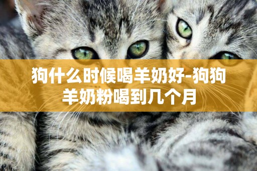 狗什么時候喝羊奶好-狗狗羊奶粉喝到幾個月