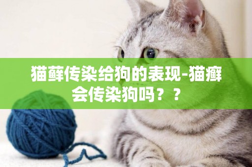 貓蘚傳染給狗的表現-貓癬會傳染狗嗎？？