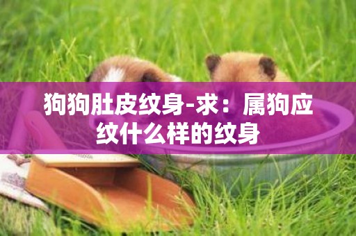 狗狗肚皮紋身-求：屬狗應紋什么樣的紋身