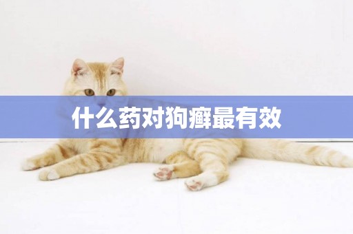 什么藥對狗癬最有效