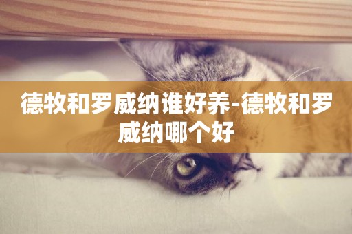 德牧和羅威納誰好養-德牧和羅威納哪個好