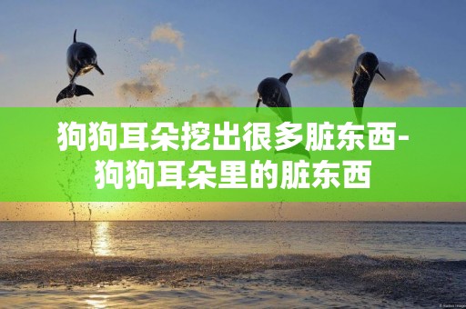狗狗耳朵挖出很多臟東西-狗狗耳朵里的臟東西