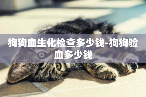 狗狗血生化檢查多少錢-狗狗驗血多少錢