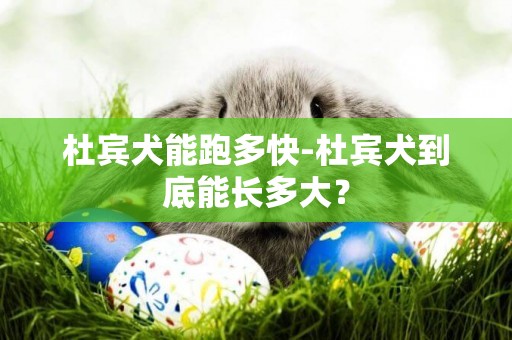杜賓犬能跑多快-杜賓犬到底能長多大？