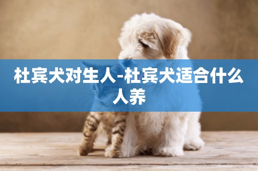 杜賓犬對生人-杜賓犬適合什么人養