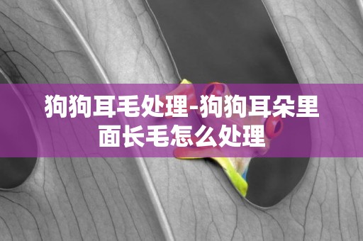 狗狗耳毛處理-狗狗耳朵里面長毛怎么處理