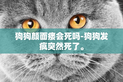 狗狗顏面瘺會死嗎-狗狗發瘋突然死了。