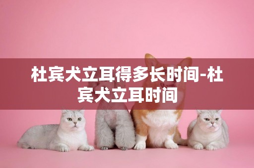 杜賓犬立耳得多長時間-杜賓犬立耳時間