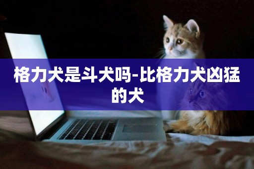 格力犬是斗犬嗎-比格力犬兇猛的犬