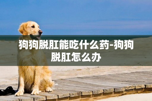 狗狗脫肛能吃什么藥-狗狗脫肛怎么辦