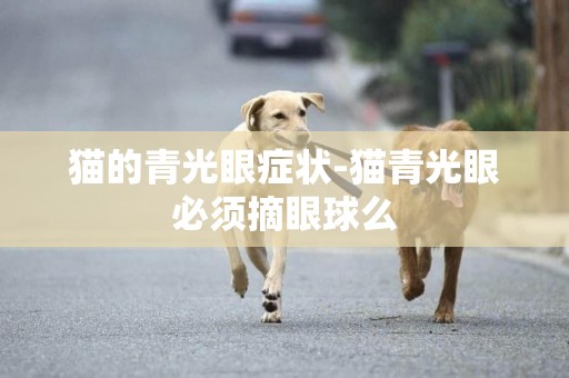 貓的青光眼癥狀-貓青光眼必須摘眼球么