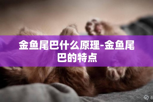 金魚尾巴什么原理-金魚尾巴的特點