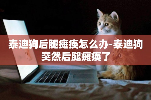 泰迪狗后腿癱瘓怎么辦-泰迪狗突然后腿癱瘓了