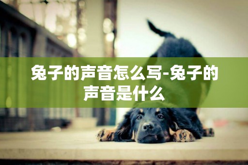 兔子的聲音怎么寫-兔子的聲音是什么