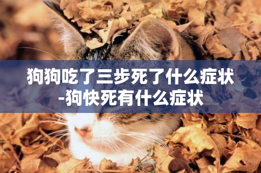 狗狗吃了三步死了什么癥狀-狗快死有什么癥狀