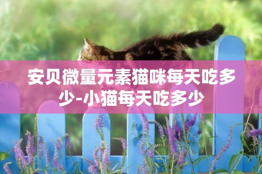 安貝微量元素貓咪每天吃多少-小貓每天吃多少