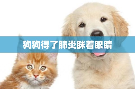 狗狗得了肺炎瞇著眼睛