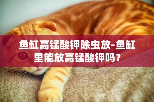 魚缸高錳酸鉀除蟲放-魚缸里能放高錳酸鉀嗎？