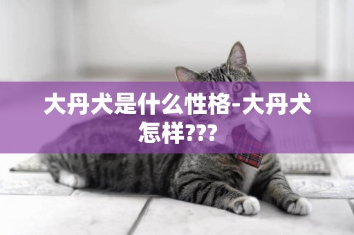 大丹犬是什么性格-大丹犬怎樣???