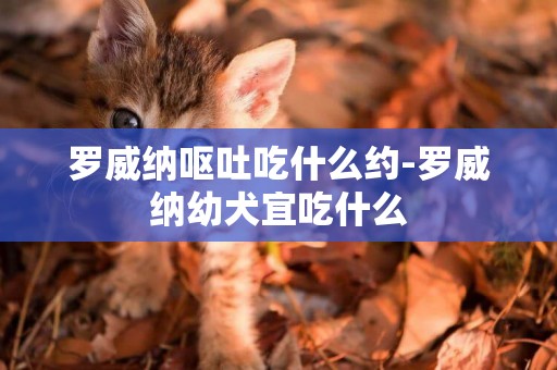 羅威納嘔吐吃什么約-羅威納幼犬宜吃什么