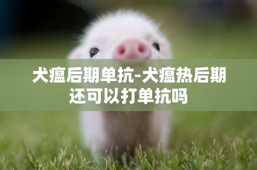 犬瘟后期單抗-犬瘟熱后期還可以打單抗嗎