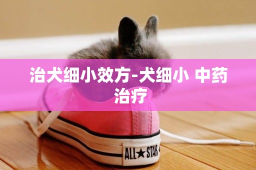 治犬細小效方-犬細小 中藥 治療
