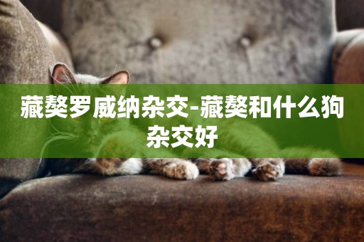 藏獒羅威納雜交-藏獒和什么狗雜交好