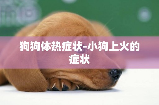 狗狗體熱癥狀-小狗上火的癥狀