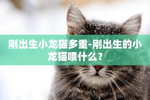 剛出生小龍貓多重-剛出生的小龍貓喂什么？