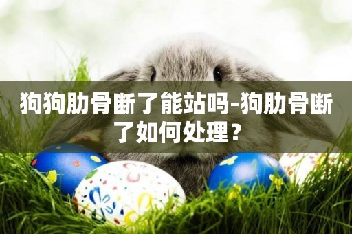 狗狗肋骨斷了能站嗎-狗肋骨斷了如何處理？