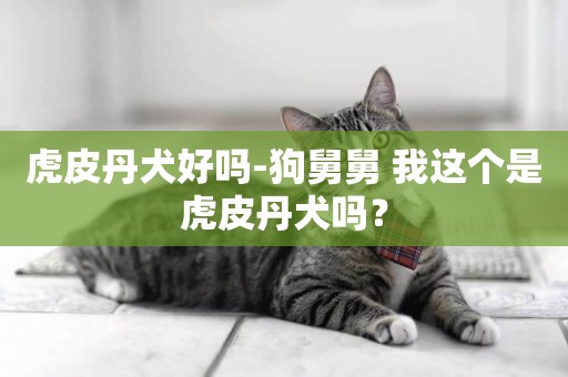 虎皮丹犬好嗎-狗舅舅 我這個是虎皮丹犬嗎？