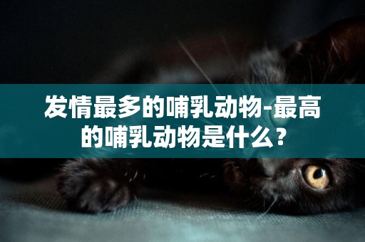 發情最多的哺乳動物-最高的哺乳動物是什么？