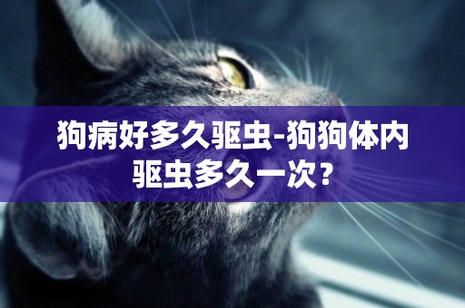 狗病好多久驅蟲-狗狗體內驅蟲多久一次？