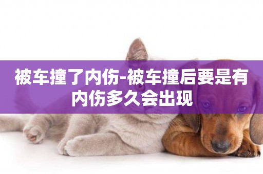 被車撞了內傷-被車撞后要是有內傷多久會出現