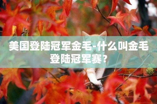 美國登陸冠軍金毛-什么叫金毛登陸冠軍賽？
