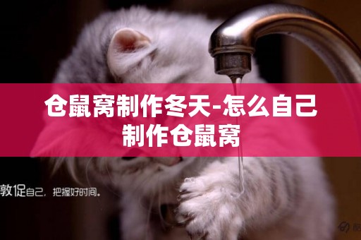倉鼠窩制作冬天-怎么自己制作倉鼠窩