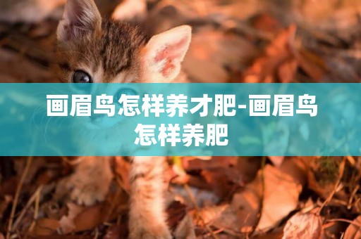 畫眉鳥怎樣養才肥-畫眉鳥怎樣養肥