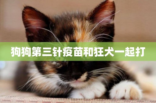狗狗第三針疫苗和狂犬一起打