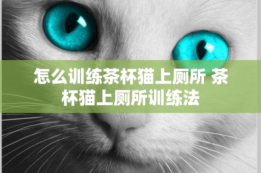 怎么訓練茶杯貓上廁所 茶杯貓上廁所訓練法