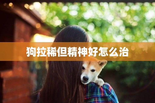 狗拉稀但精神好怎么治