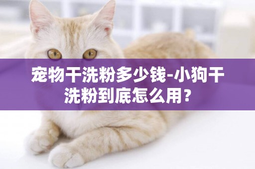 寵物干洗粉多少錢-小狗干洗粉到底怎么用？