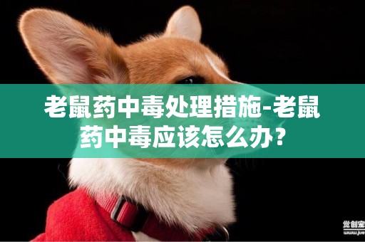老鼠藥中毒處理措施-老鼠藥中毒應該怎么辦？